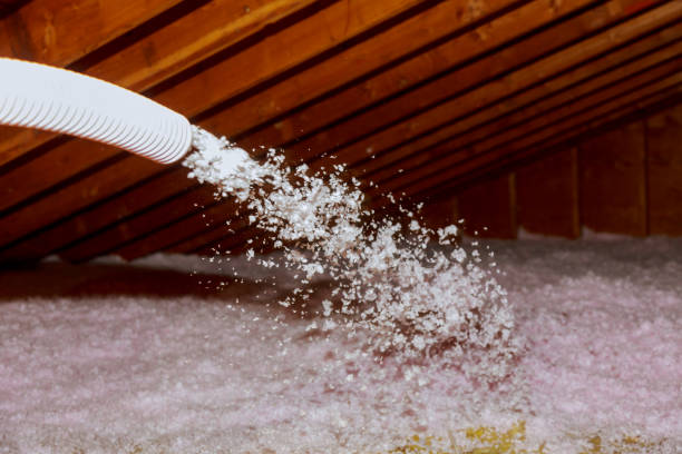 Best Geographic-Specific Insulation Services in Stansberry Lake, WA