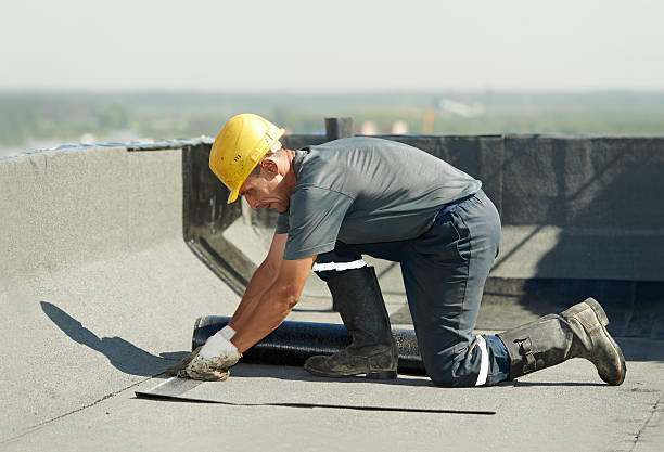 Best Specialized Insulation Services in Stansberry Lake, WA