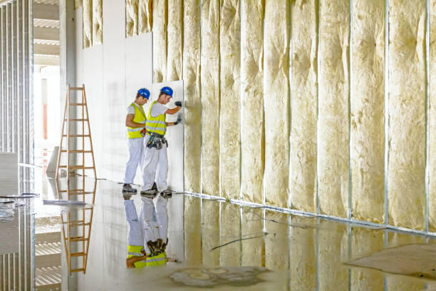 Best Energy Efficiency Insulation in Stansberry Lake, WA